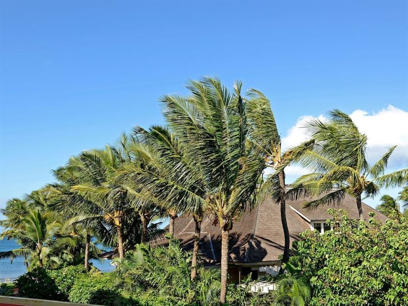 Nani Kai Hale 303 By Vacation Rental Pros Vr Kihei Ngoại thất bức ảnh